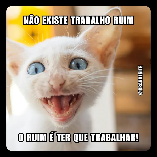 Imagem de um gato branco de olhos azuis arregalados, com a boca aberta em uma expressão de "sorriso" ou "gargalhada" exagerada, mostrando os dentes. O texto em branco com contorno preto diz: "NÃO EXISTE TRABALHO RUIM O RUIM É TER QUE TRABALHAR!". O fundo é desfocado em tons claros. É um meme humorístico para redes sociais.