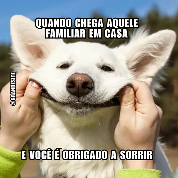 Um cachorro branco com um sorriso forçado e exagerado, com as mãos puxando suas bochechas para cima. O meme diz: 'QUANDO CHEGA AQUELE FAMILIAR EM CASA E VOCÊ É OBRIGADO A SORRIR'.