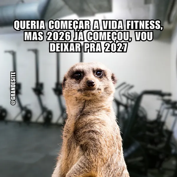 Um suricato com expressão triste em frente a equipamentos de academia desfocados. O texto diz: 'Queria começar a vida fitness, mas 2026 já começou, vou deixar pra 2027'. Ideal para memes de humor e redes sociais.