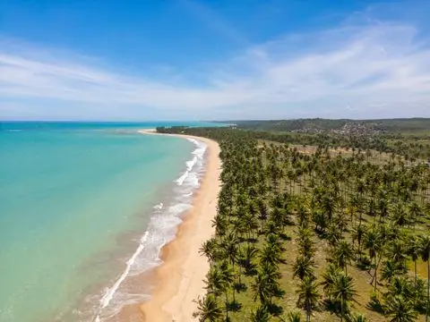 Vista Aérea de Praia Paradisíaca com Coqueiros — Foto aérea de uma praia tropical com mar azul turquesa, areia clara e coqueiros. Perfeita para projetos de turismo e verão.