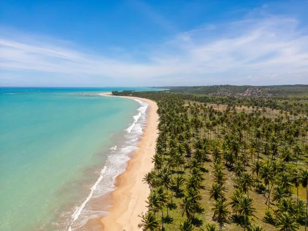 Vista Aérea de Praia Paradisíaca com Coqueiros