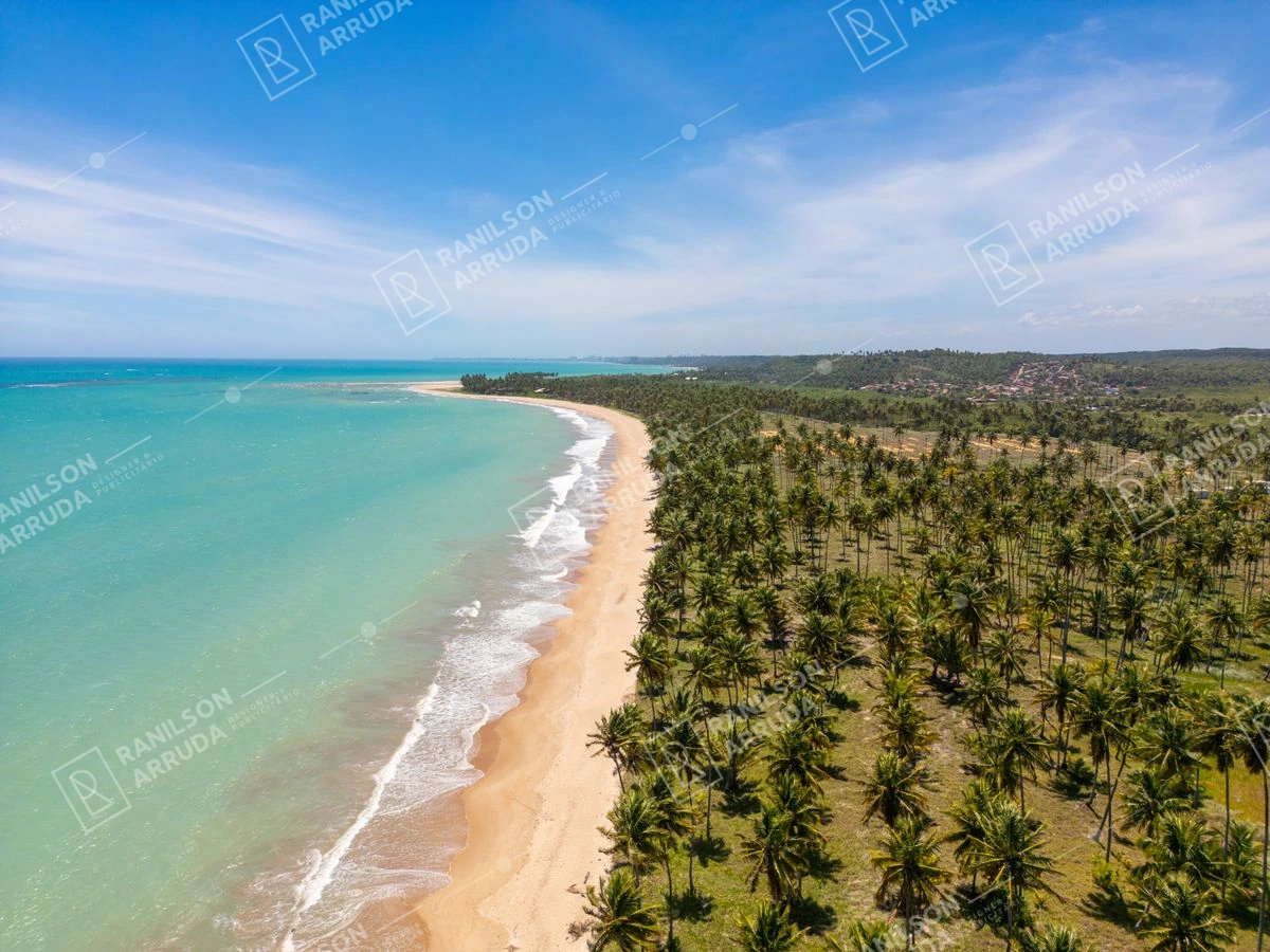 Vista Aérea de Praia Paradisíaca com Coqueiros